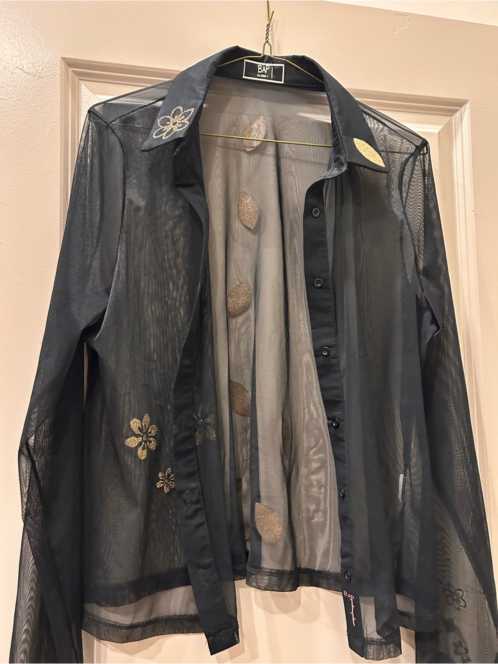 Black Sheer Blouse with Embroidered Detail